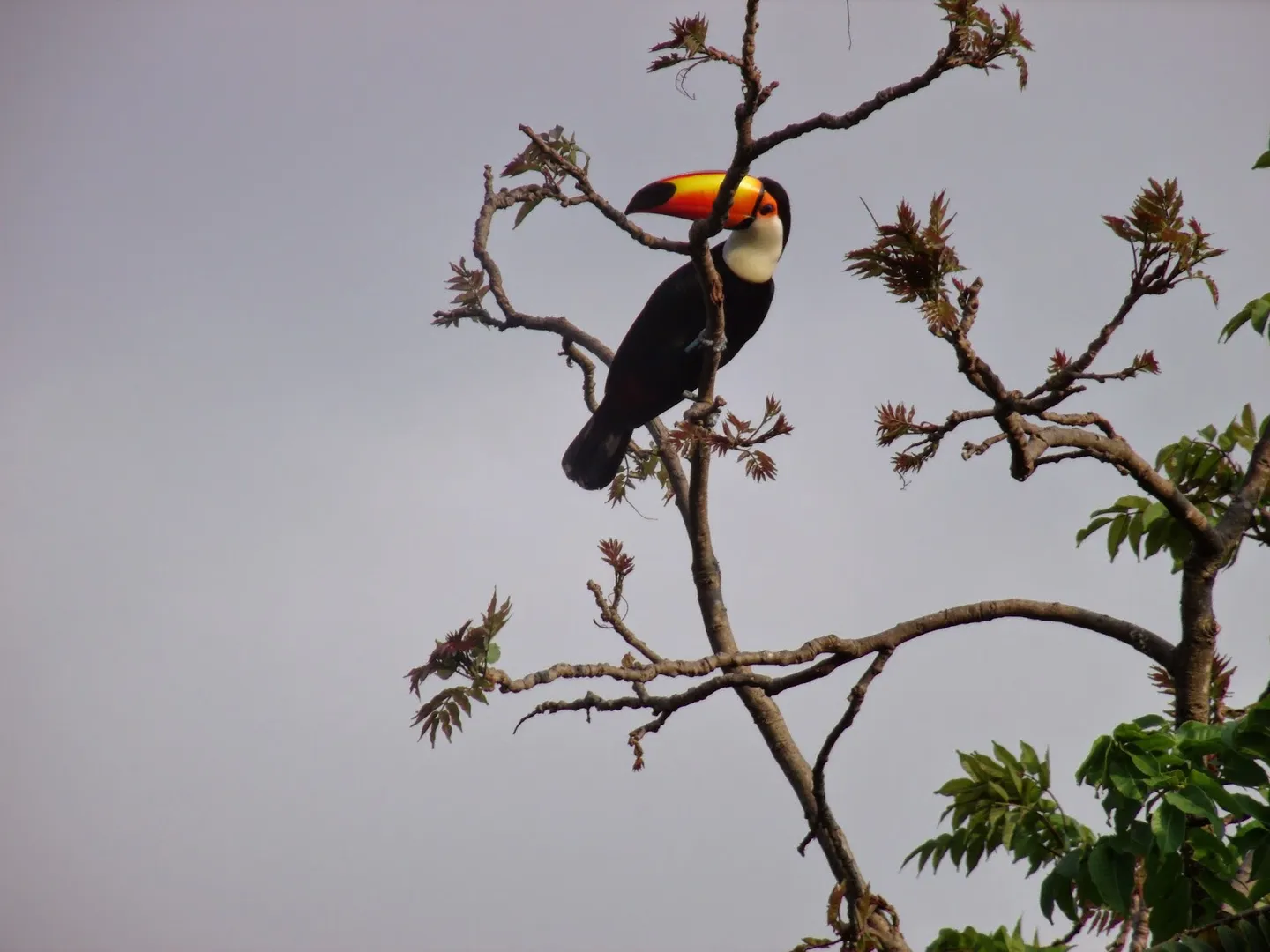 Parque Ecológico Do Anhanduí