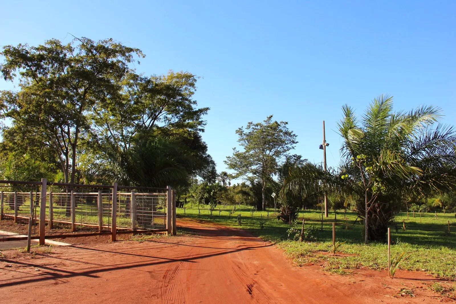 Parque Ecológico Do Anhanduí