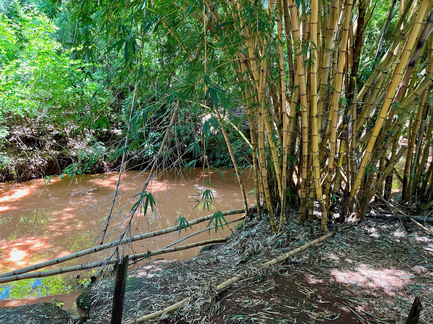 Parque das Nações Indígenas