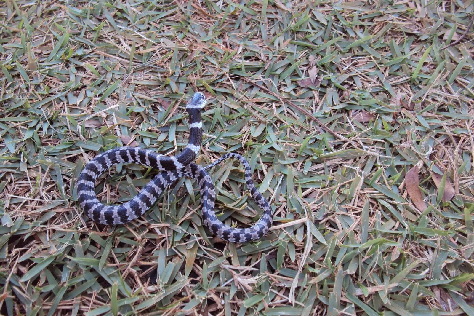 Parque Ecológico Do Anhanduí