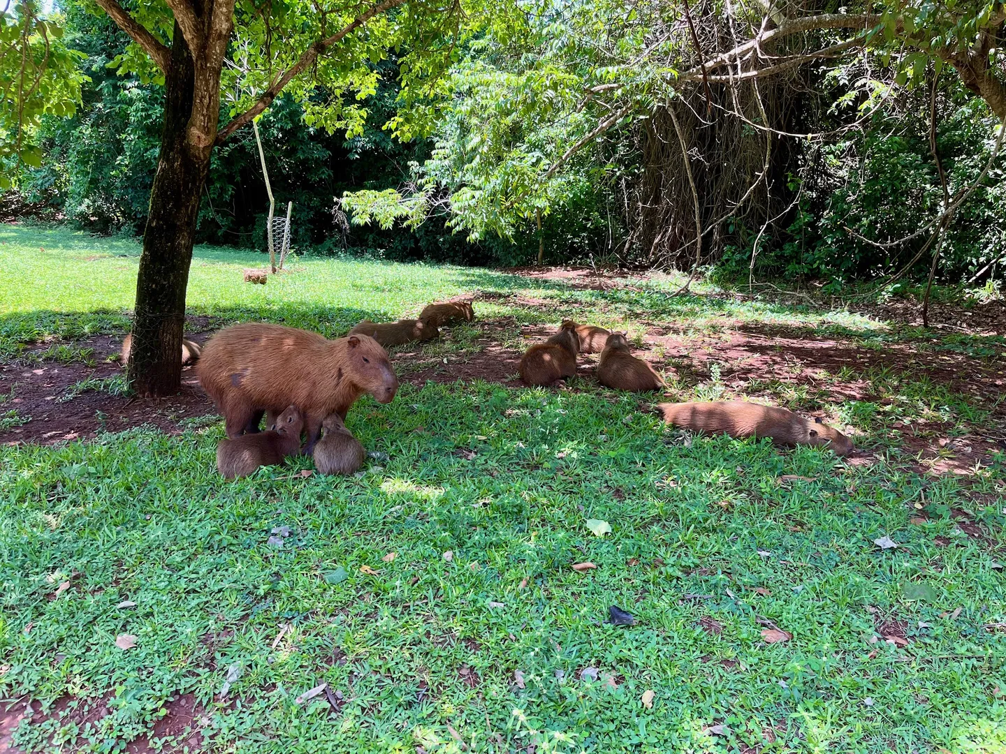 Parque das Nações Indígenas