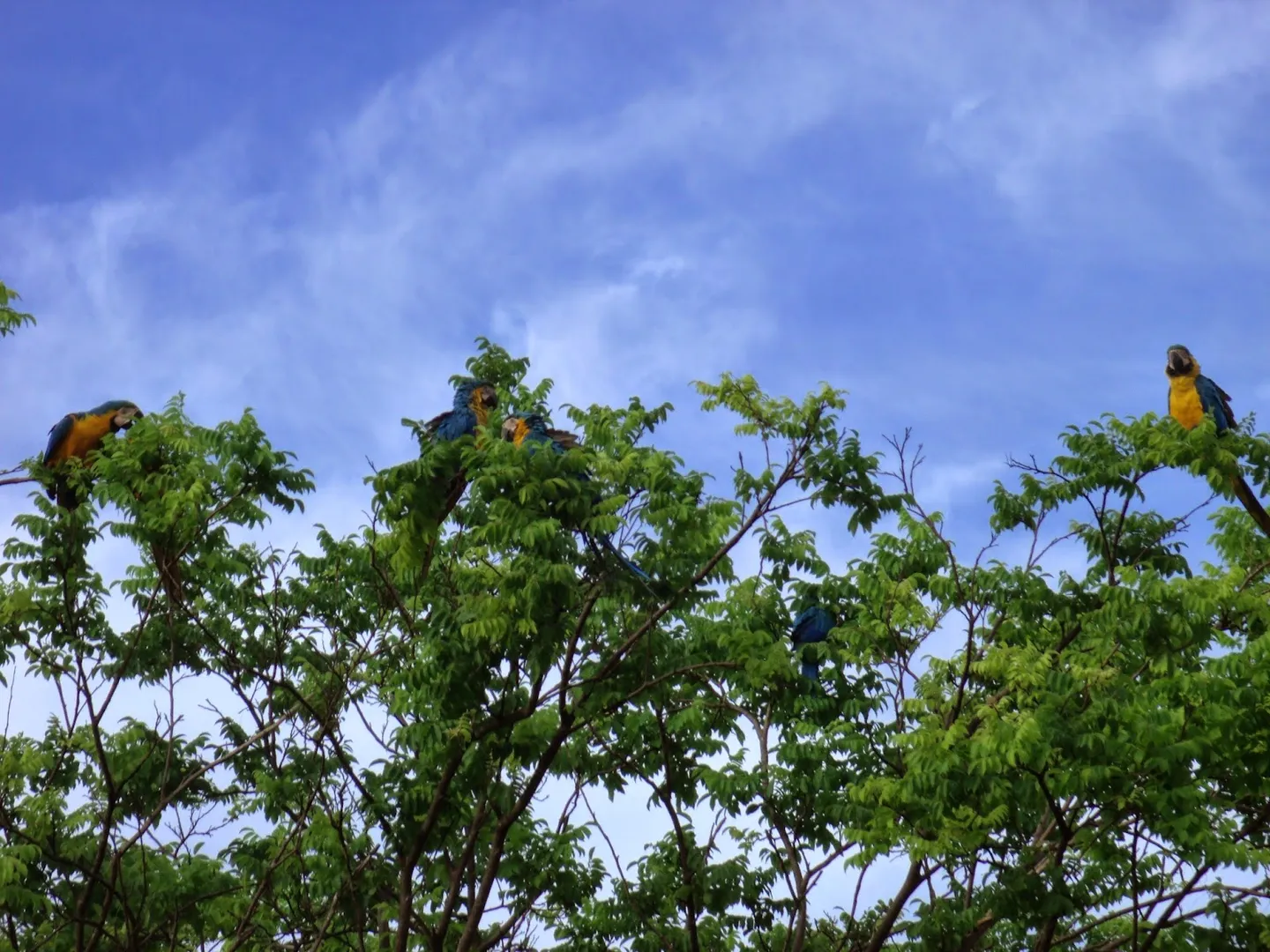 Parque Ecológico Do Anhanduí