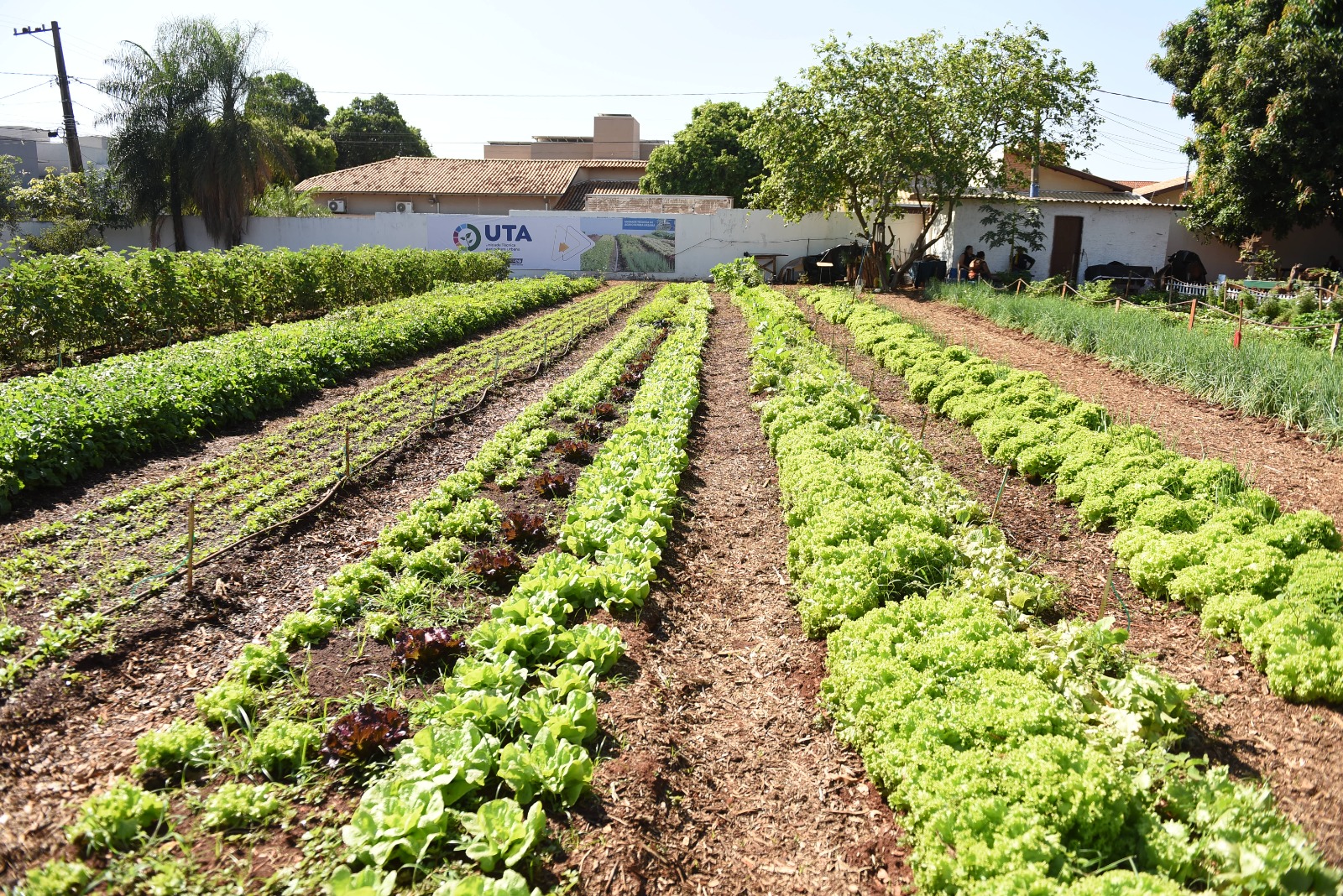 Idosos de Campo Grande participam de intercâmbio socioambiental nesta quarta-feira