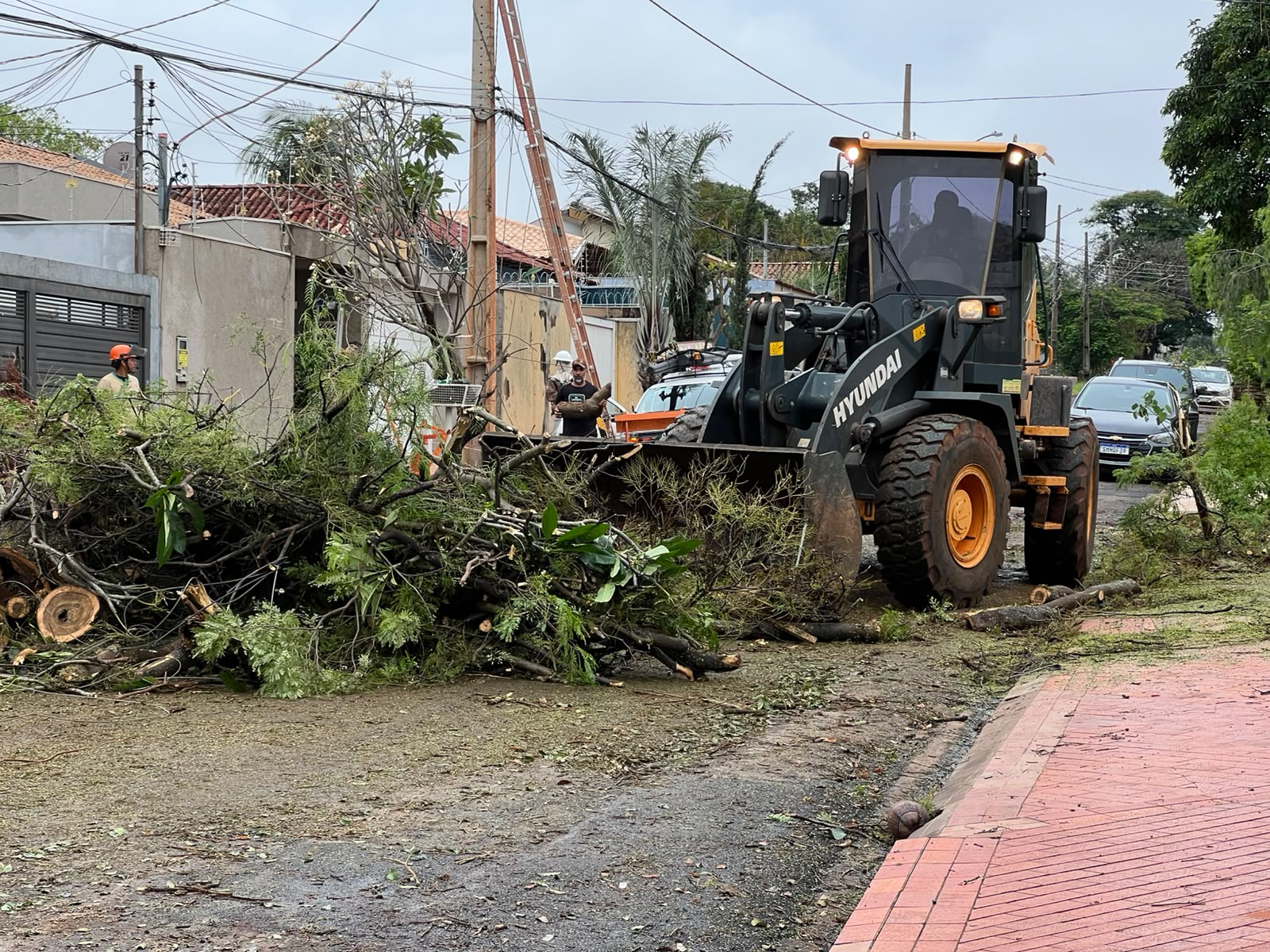 Campo Grande mobiliza mais de 35 equipes para atender danos do temporal