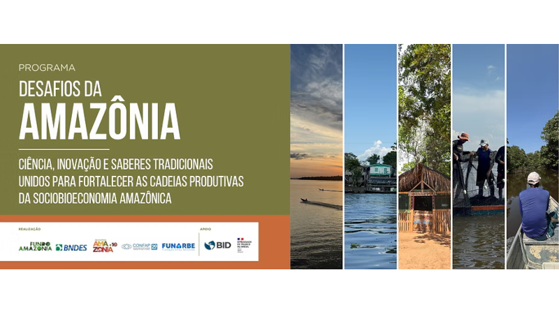 Iniciativa Amazônia+10 Abre Chamadas para Projetos na Sociobioeconomia