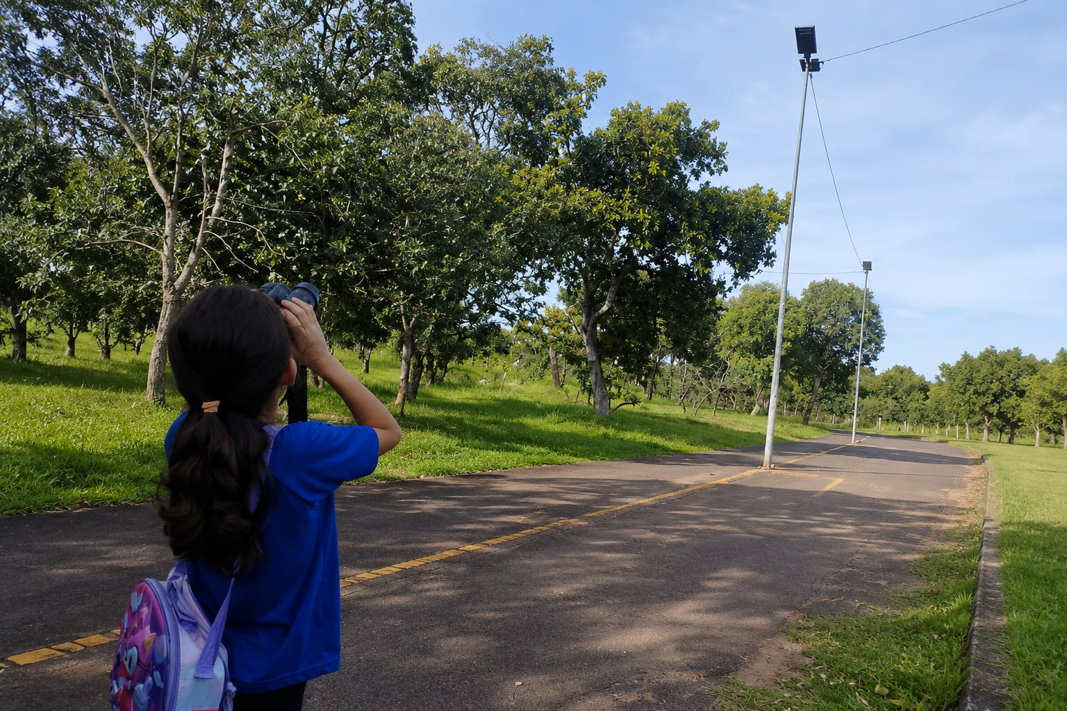 Estudantes da Reme exploram biodiversidade no Parque Sóter em Campo Grande