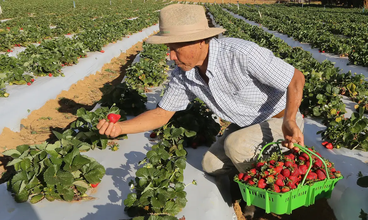 Governo libera pagamento do Garantia-Safra para agricultores familiares