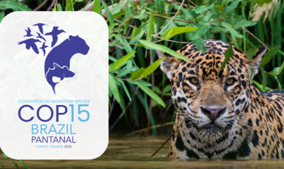 COP15 em Campo Grande destaca crise das espécies migratórias