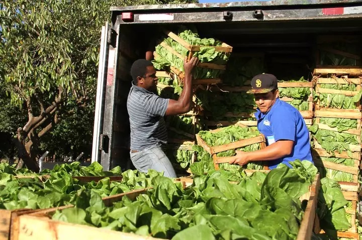 Agricultura Familiar Fornece Alimentos a 207 Escolas em Campo Grande