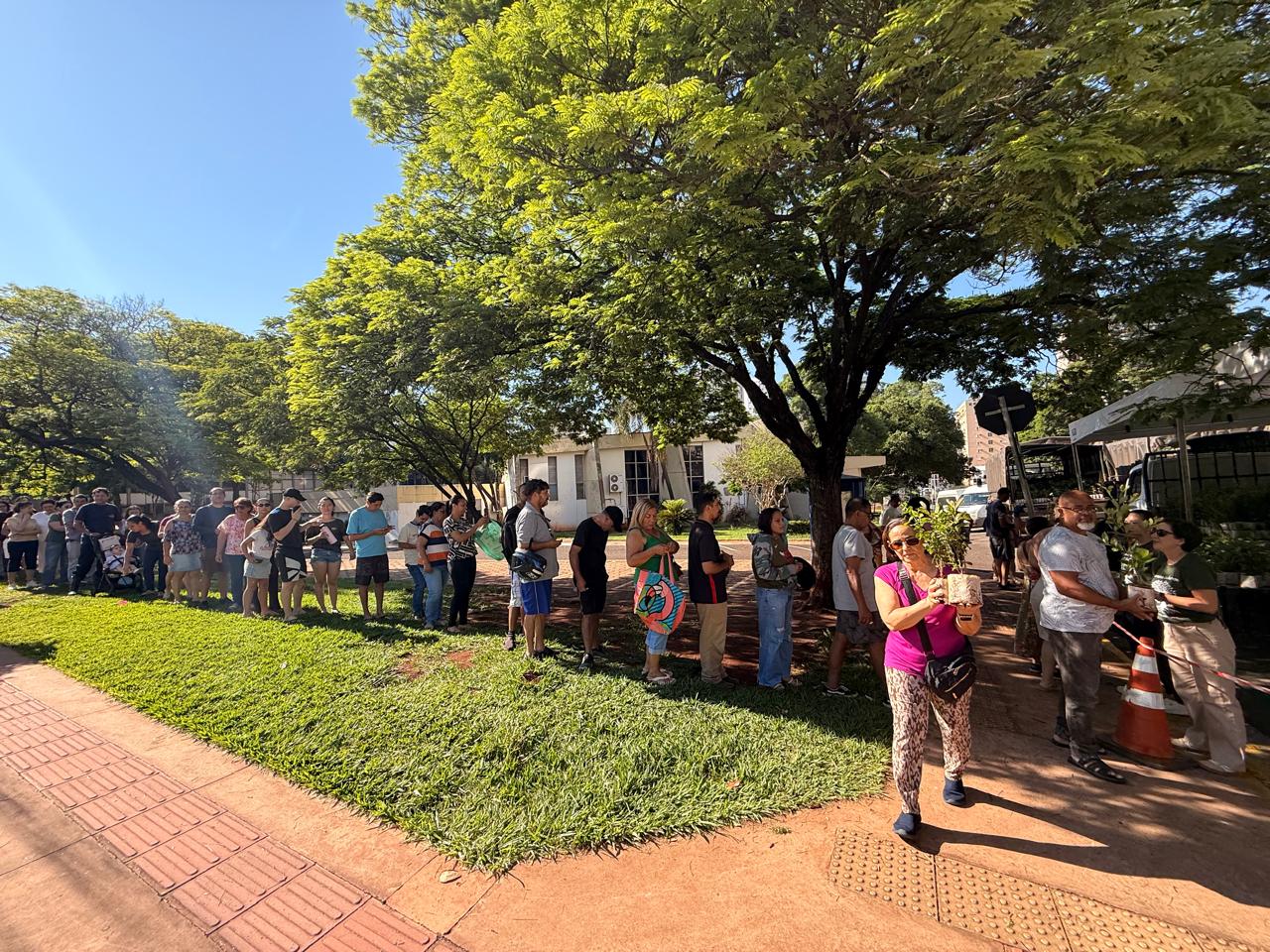 Campo Grande distribui 10 mil mudas de árvores frutíferas para a população