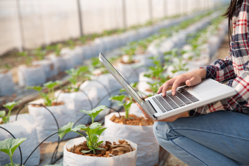 Fatores essenciais para expandir a agricultura 4.0 no Brasil