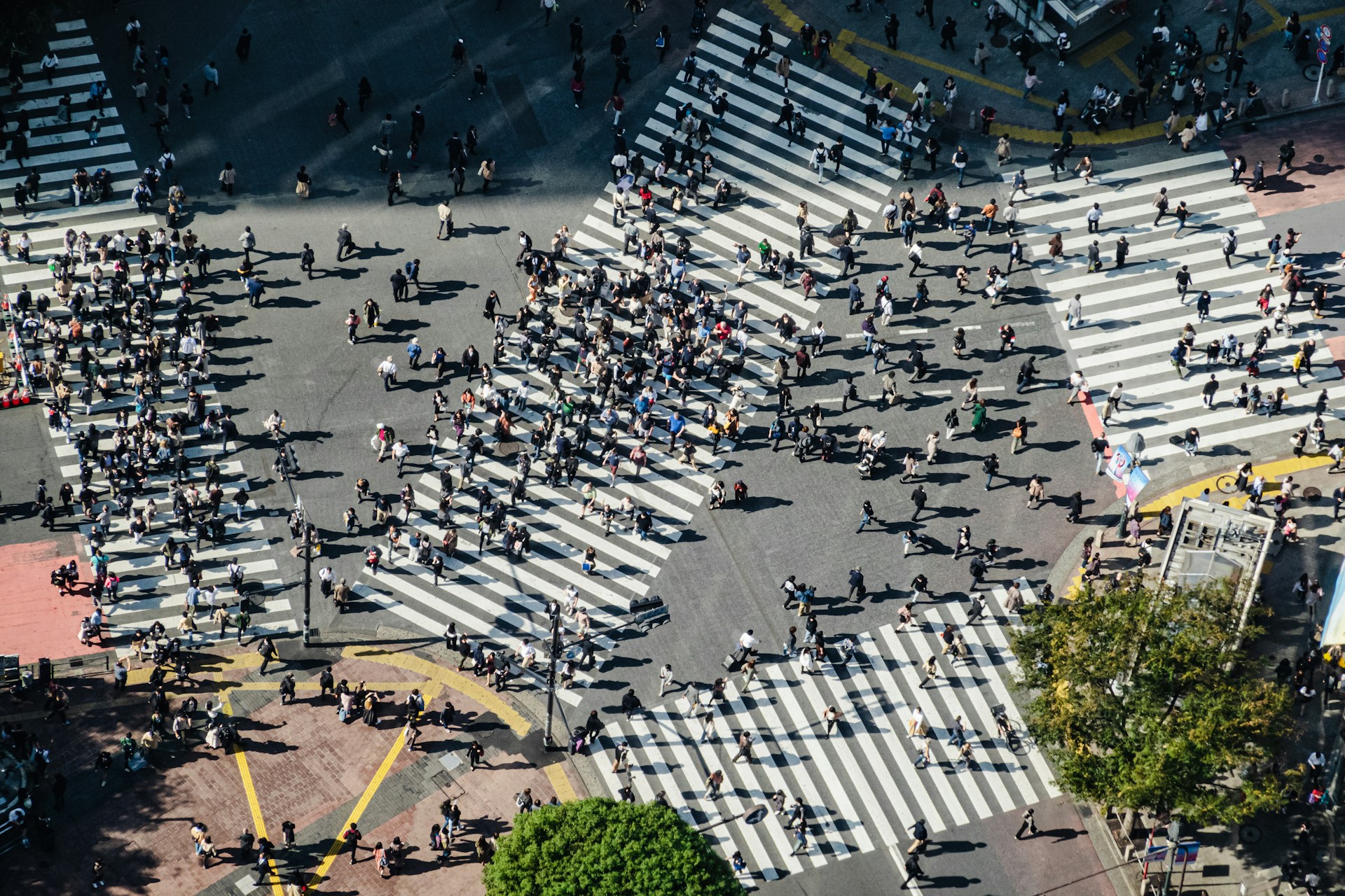 FAPESP Anuncia Chamada para Colaboração em Pesquisa Transatlântica