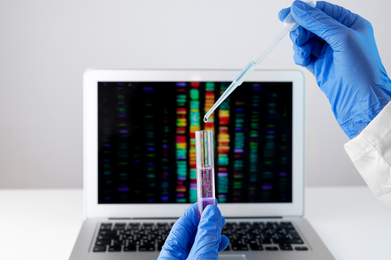 Teste genético gratuito ajuda casais a planejar a chegada de filhos no Brasil