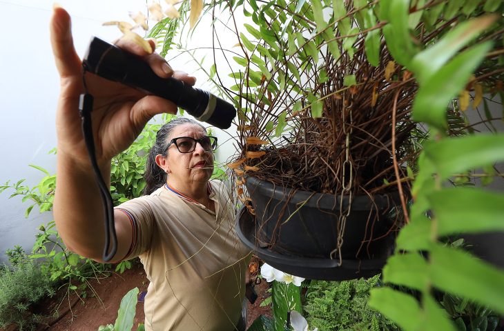 Prevenção contra Aedes aegypti: a importância da participação popular em MS