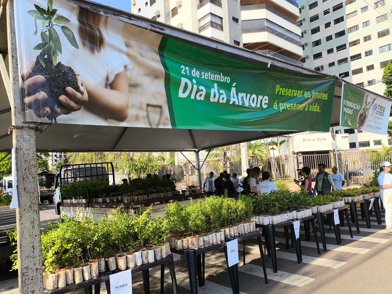 Campo Grande Distribuirá 10 Mil Mudas em Celebração à Semana da Árvore