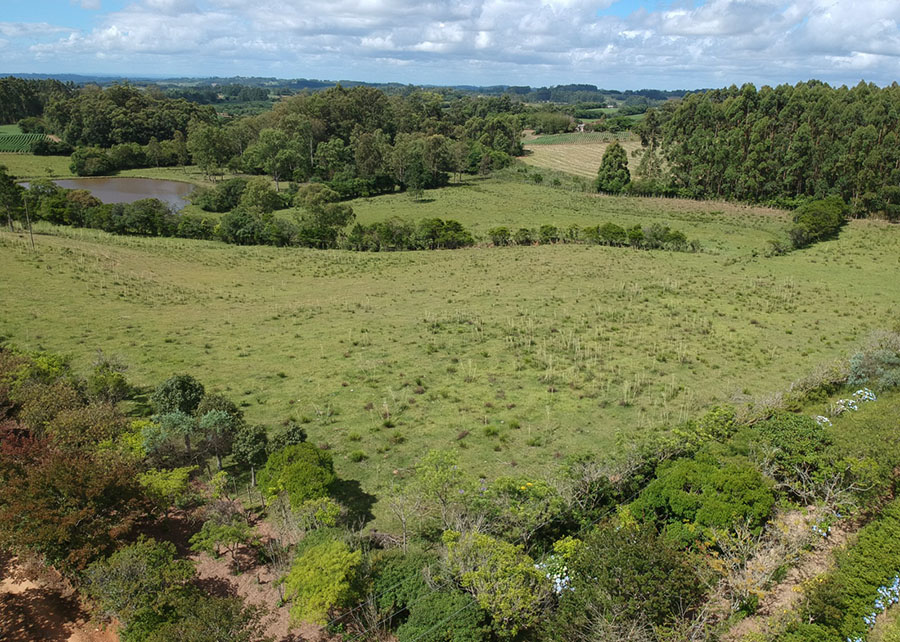 Índice de Sustentabilidade Auera Avalia Propriedades Rurais no Sul do Brasil