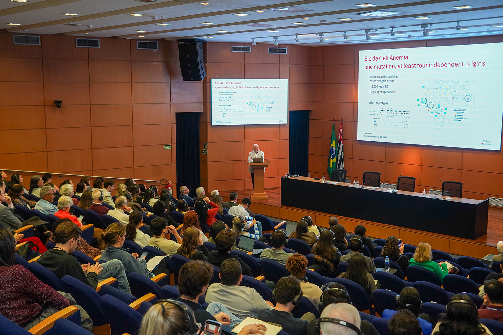 Anemia falciforme: Desafios no tratamento e desigualdade racial