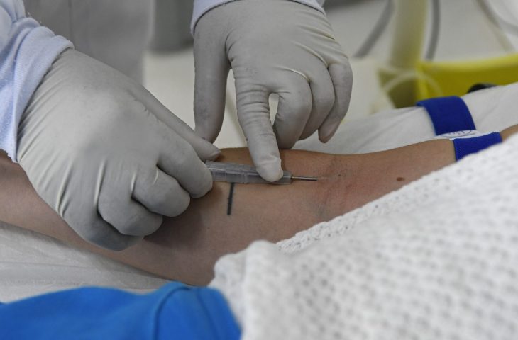 Mato Grosso do Sul não registra casos de hantavirose há 7 anos e intensifica vigilância