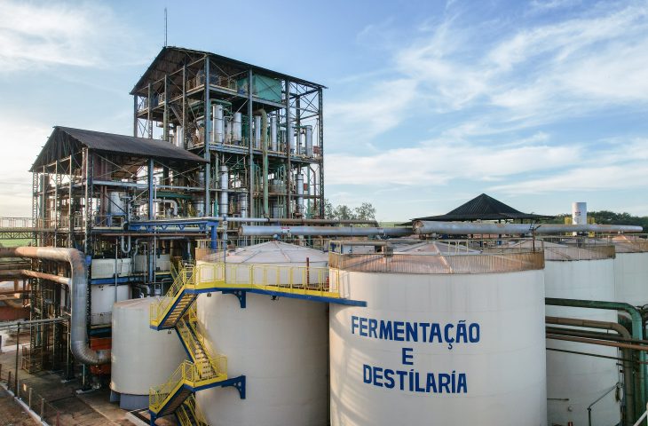 Mato Grosso do Sul lidera avanço da indústria e diversifica economia