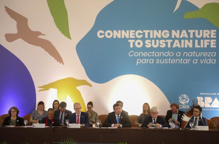 Mato Grosso do Sul lidera encontro global antes da COP15 de conservação ambiental