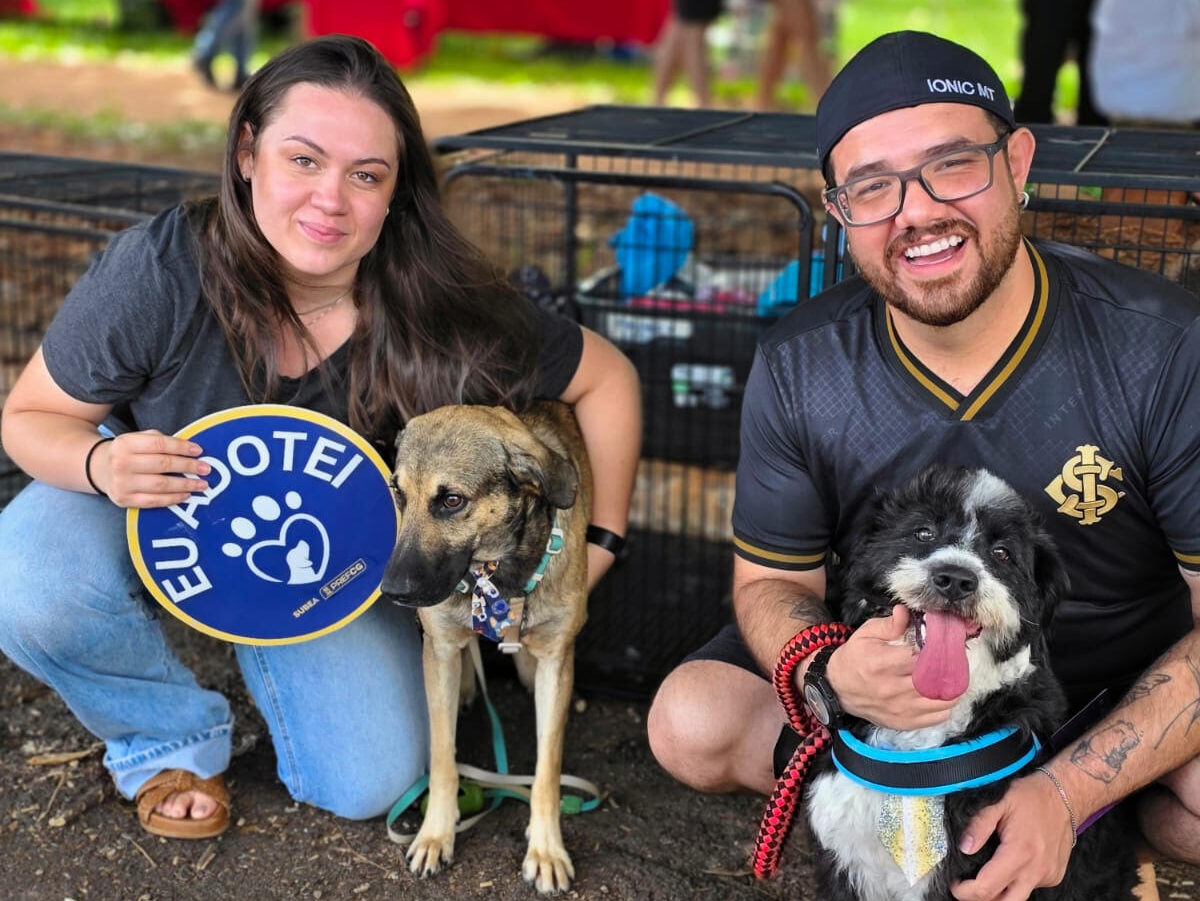 Feira de Adoção de Cães acontece na Praça Bolívia neste domingo