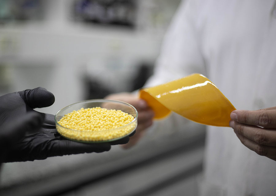 Inovação em Fertilizantes: Ureia com Revestimento de Mamona Aumenta Eficiência Agronômica