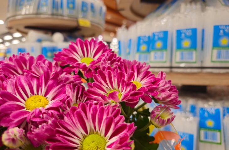 Pesquisa do Procon-MS aponta variação de até 202,01% em flores para Finados