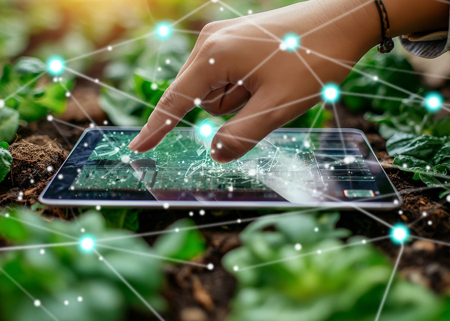 Radar Agtech revela avanço da inovação no setor agropecuário brasileiro