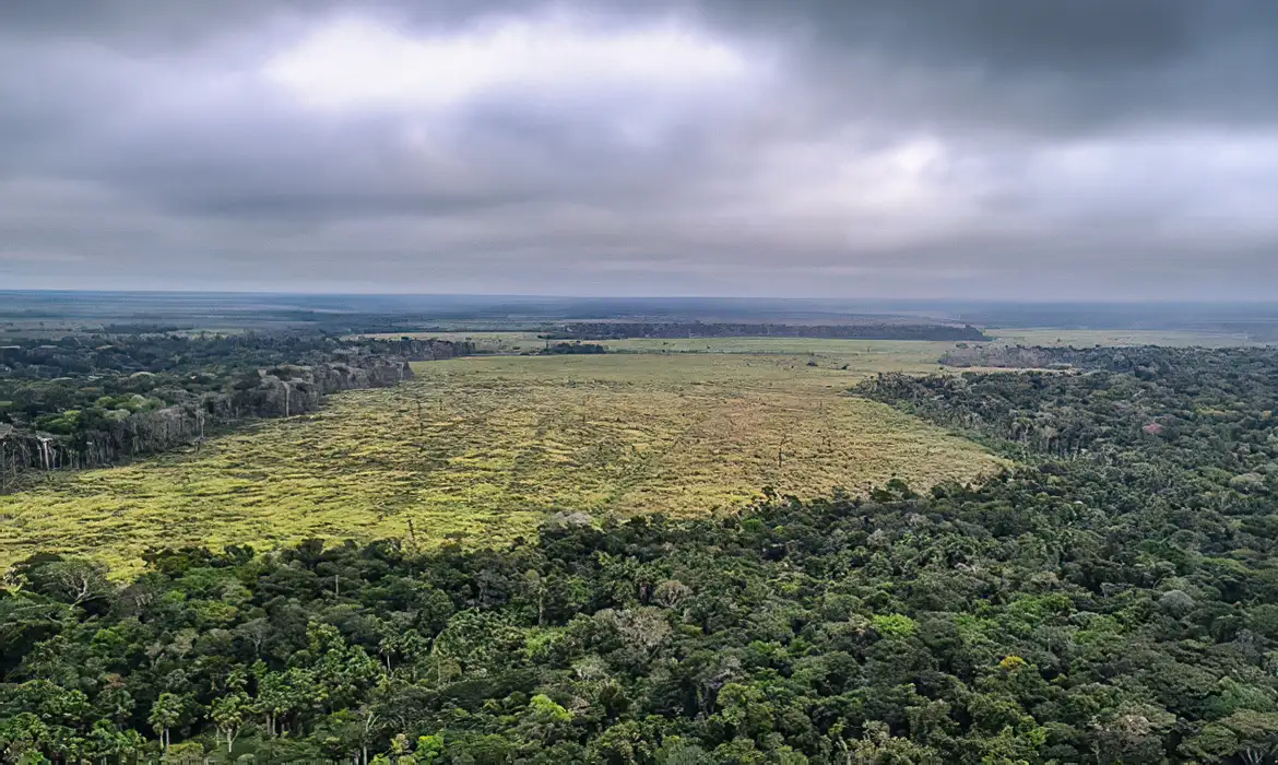 Emissões de gases no Brasil caem em 2024, mas meta climática está em risco