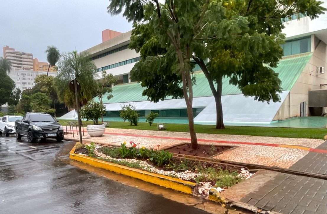 Campo Grande inaugura primeiro jardim de chuva público para drenagem sustentável