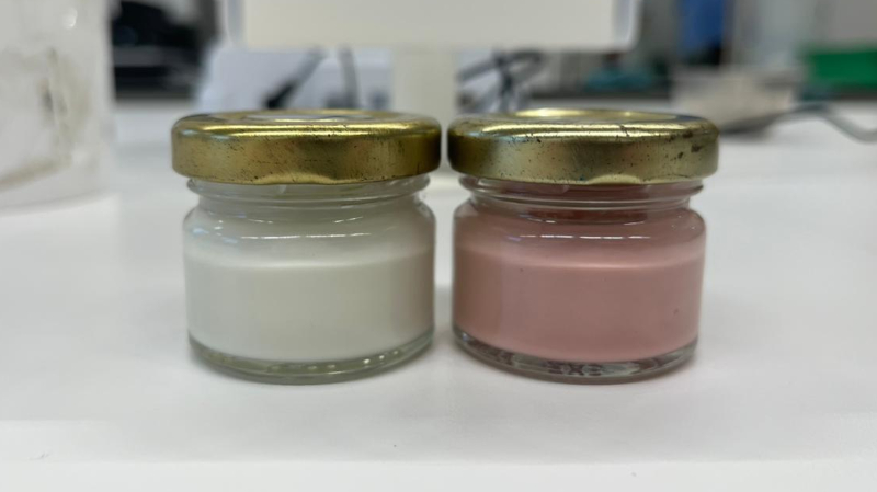 Fungo amazônico gera corante natural para cosméticos sustentáveis