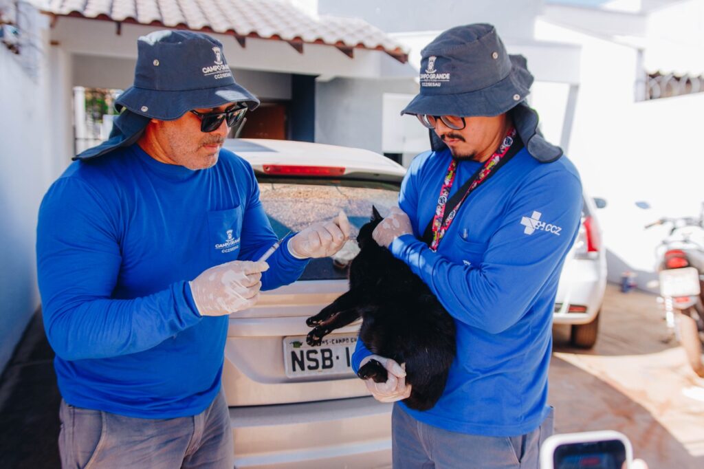 Vacinação antirrábica em Campo Grande continua neste fim de semana