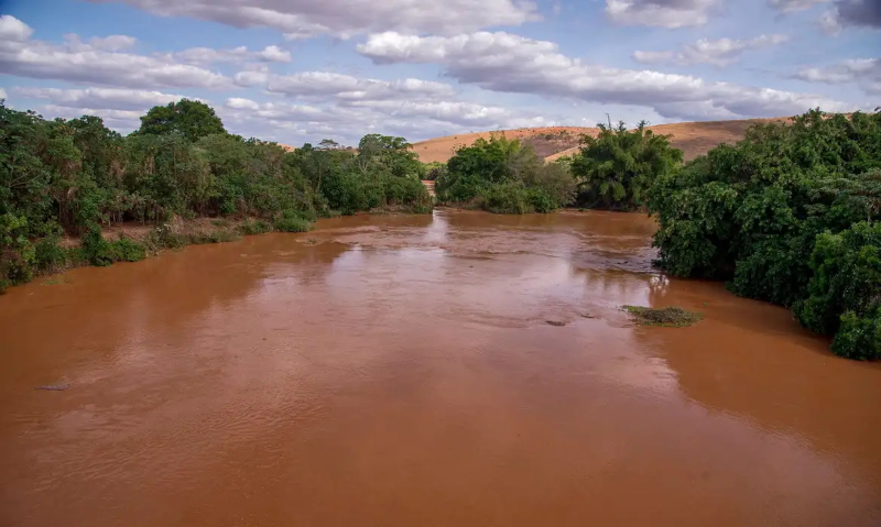 Peixes do rio Doce seguem contaminados quatro anos após desastre