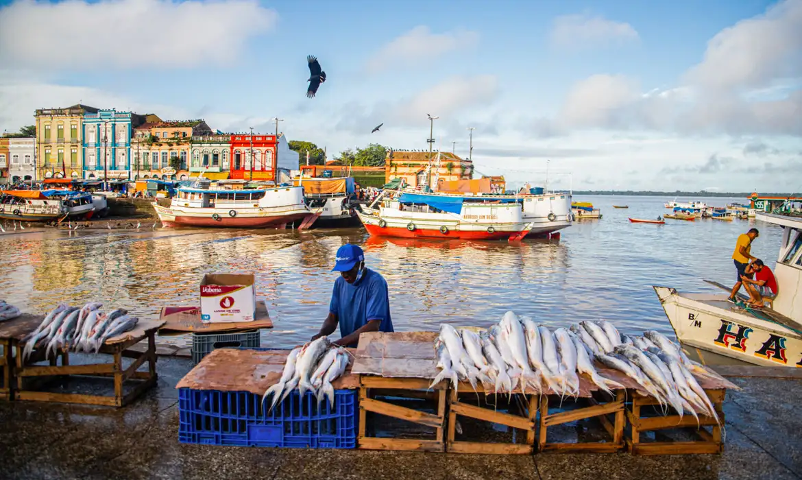 Peixes contaminados na Amazônia ameaçam saúde de ribeirinhos