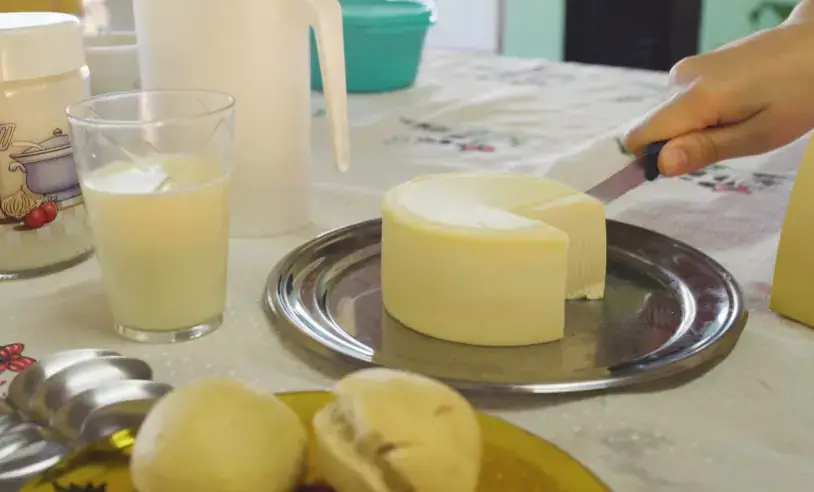 Ciclo do Queijo Artesanal em Mato Grosso do Sul: Da Fazenda à Prateleira
