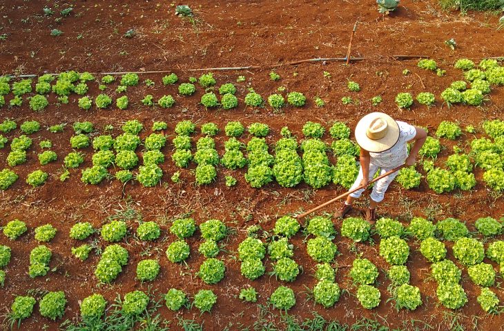 Agraer amplia acesso ao Pronaf B para agricultores familiares em MS