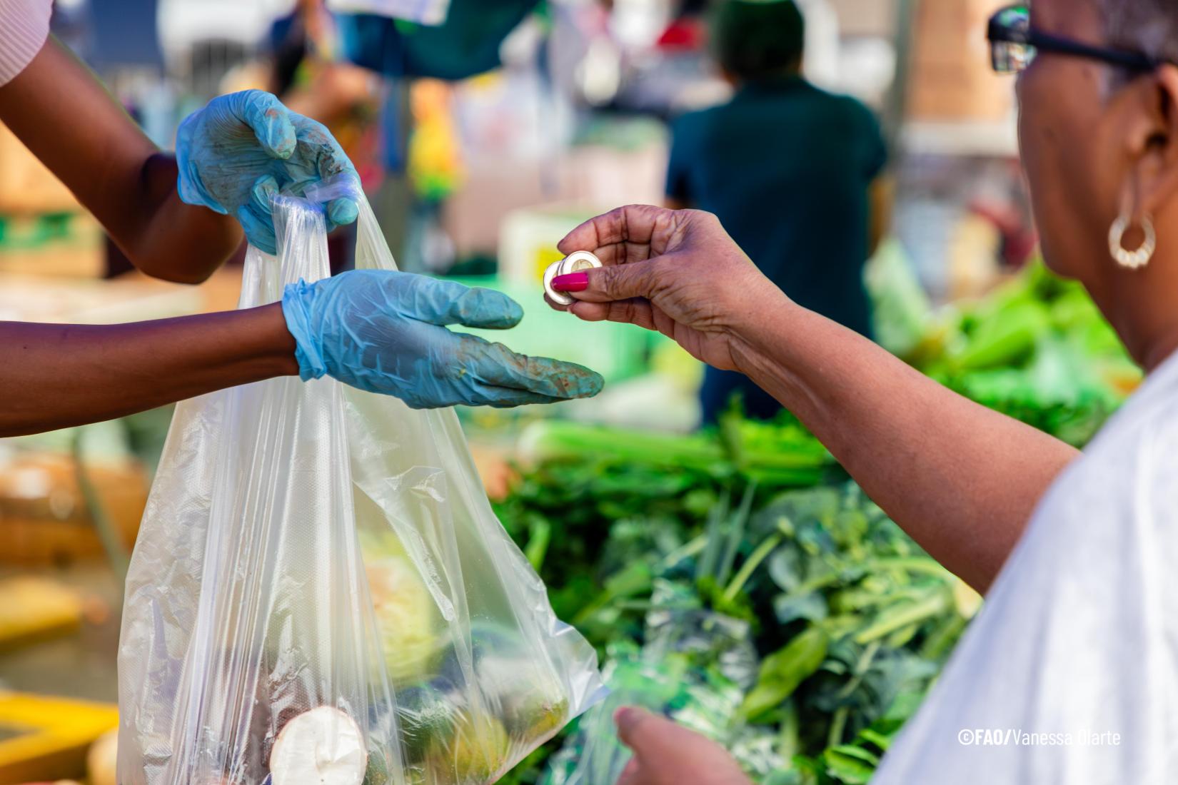 América Latina e FAO Unem Forças para Combater a Fome e a Inflação Alimentar
