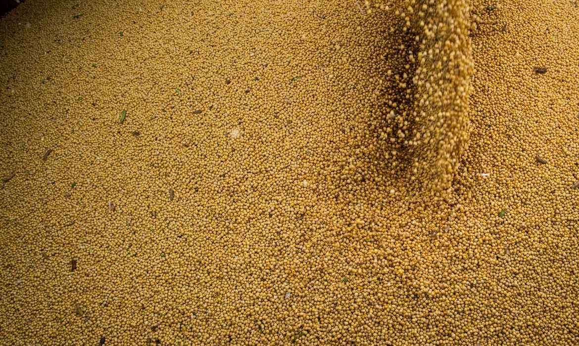 Agropecuária cresce 11,7% e impulsiona o PIB brasileiro em 2025