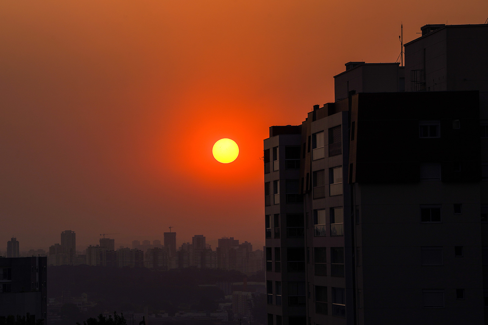 Poluição do Ar em São Paulo Aumenta Internações por Doenças Renais