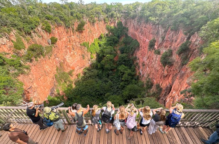 Turismo sustentável e biodiversidade atraem visitantes ao Pantanal e Bonito