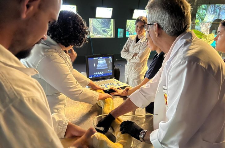 Bioparque Pantanal e UFMS promovem saúde animal com exames de imagem