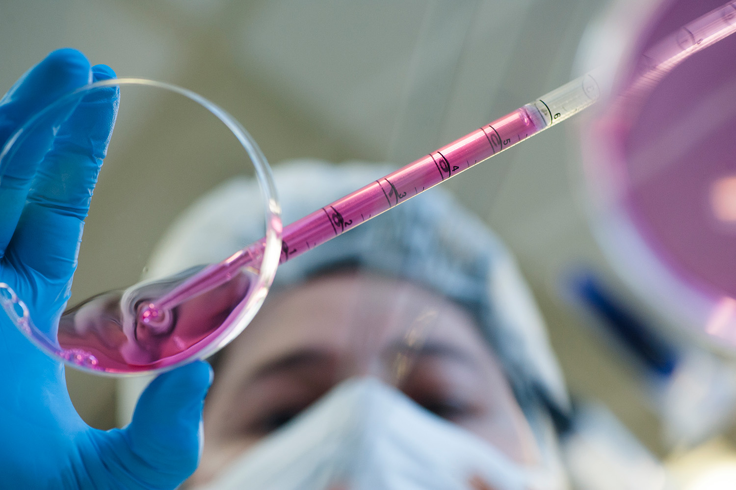 FAPESP cria cinco novos CEPIDs para pesquisa em saúde e biológicas