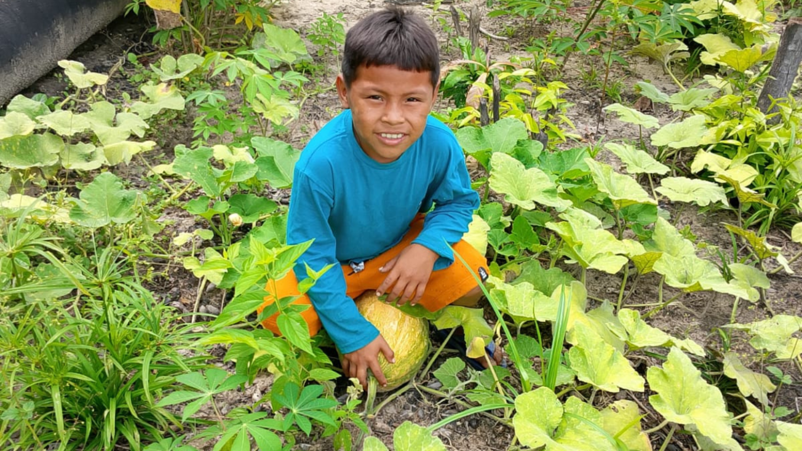 Comunidades indígenas fortalecem proteção ambiental e alimentação na Amazônia