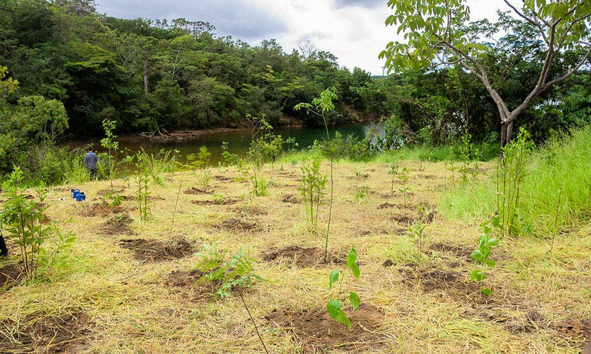Parque da Serrinha do Paranoá não protege área usada para salvar BRB, diz associação