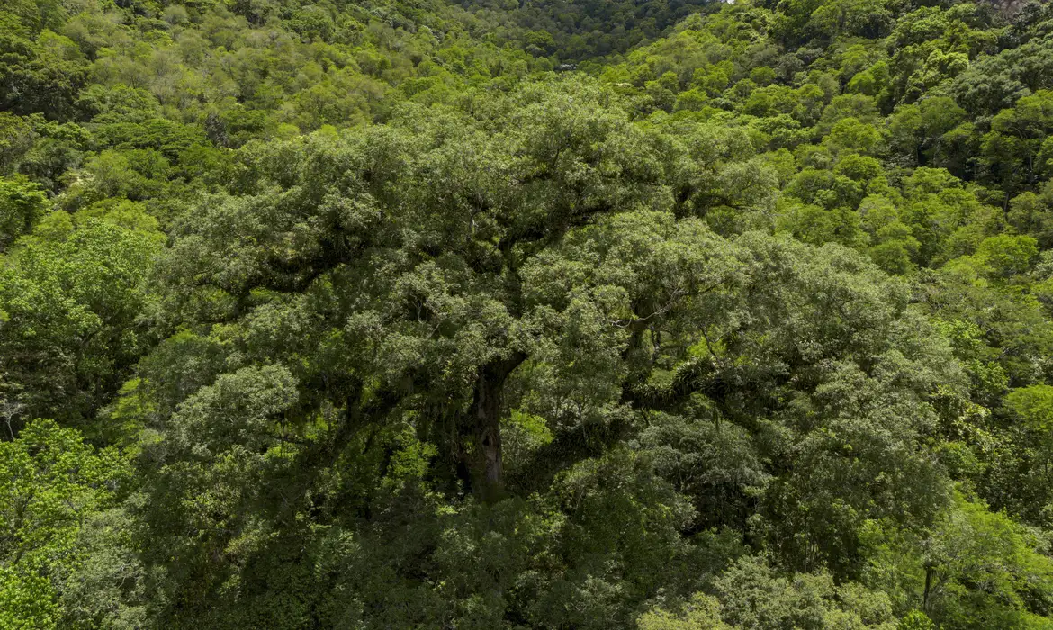 TV Brasil seleciona 12 projetos inéditos sobre natureza e meio ambiente