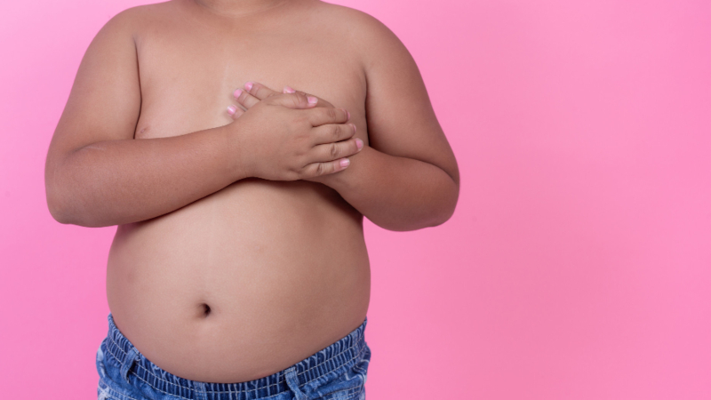 Obesidade infantil provoca danos vasculares precoces em crianças paulistas
