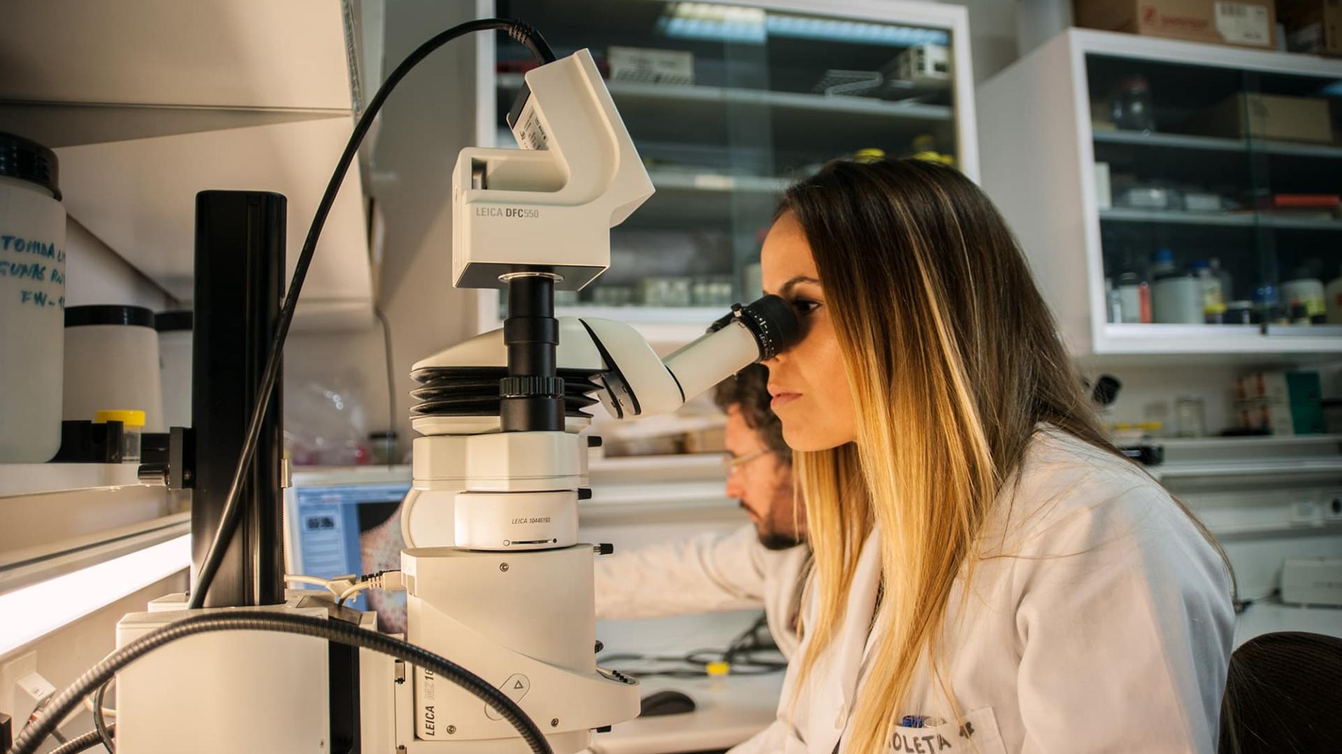 FAPESP e CSIC da Espanha lançam chamada para projetos em sete áreas até 14 de agosto