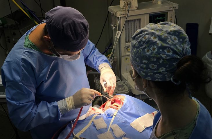 Hospital Regional de MS retoma cirurgias bucomaxilofaciais com investimento estadual