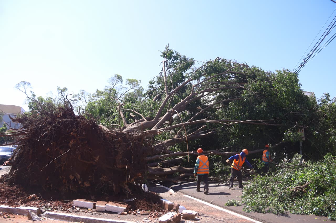 Campo Grande avança em mobilidade urbana e educação após temporal