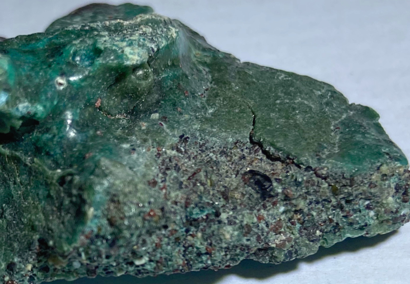Poluição por plástico ameaça ninhos de tartaruga-verde na Ilha da Trindade